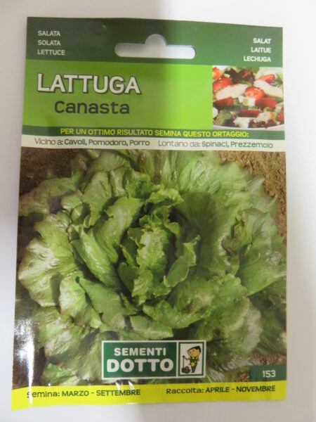 Lattuga Canasta