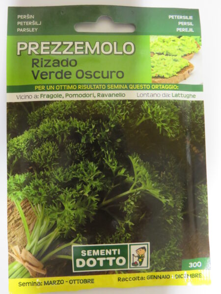 Prezzemolo verde scuro riccio