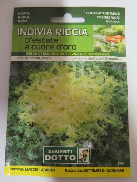 Invidia riccia D’estate a cuore d’oro