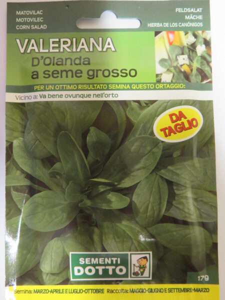 Valeriana D’Olanad a seme grosso