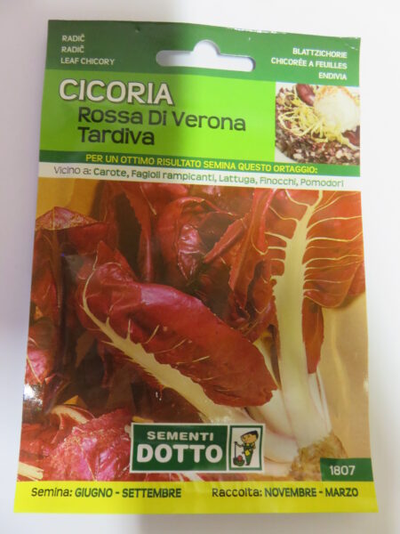 Cicoria rossa di Verona tardiva