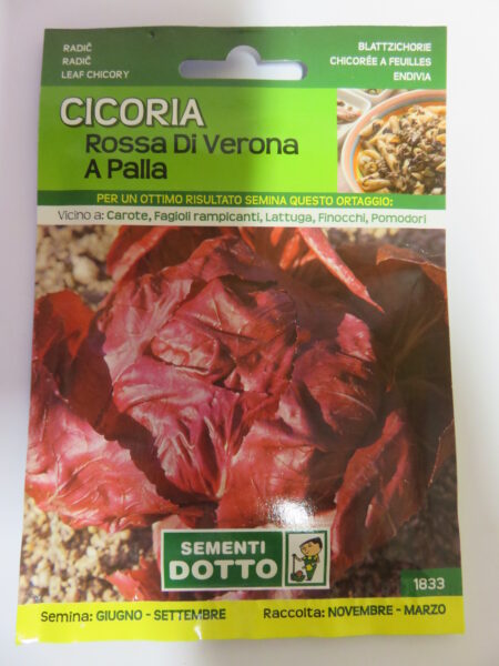 Cicoria rossa di Verona a palla