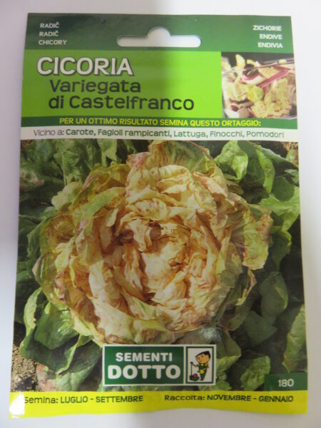 Cicoria Variegata di Castelfranco