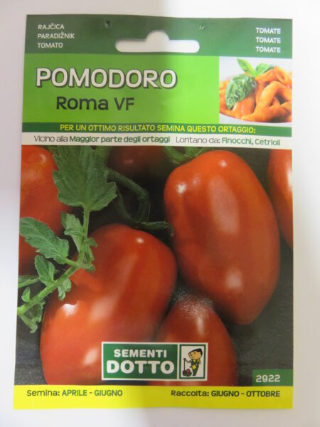 Pomodoro Roma VF