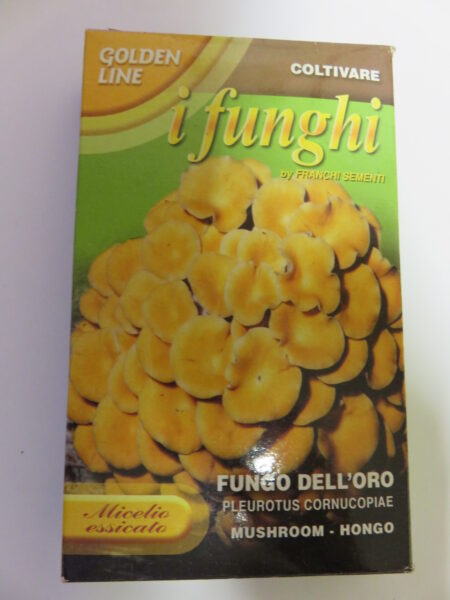 Micelio funghi dell’oro