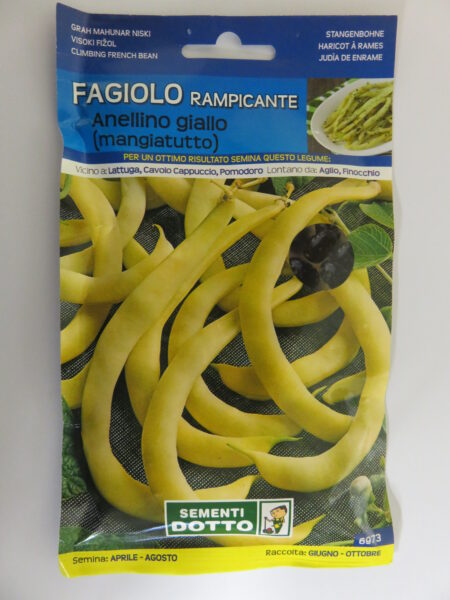 Fagiolo anellino giallo rampicante