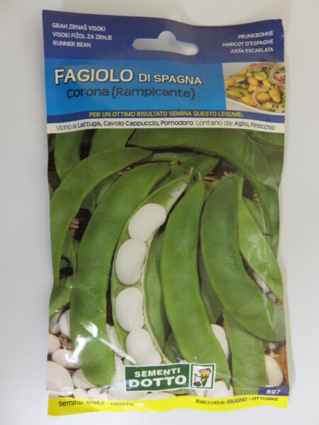 Fagiolo di Spagna rampicante