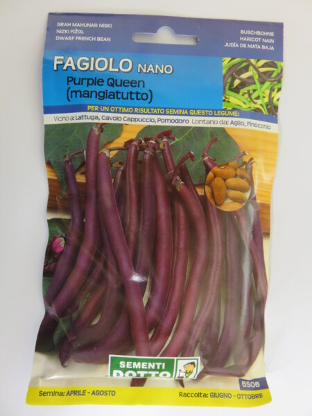 Fagiolo purple Queen nano