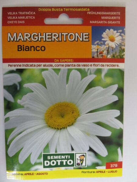 Margheritone bianco