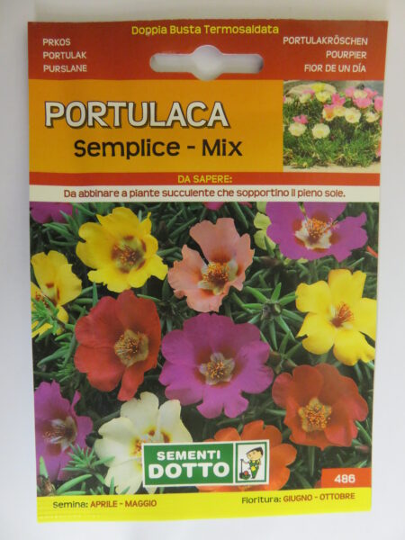 Portulaca semplice – mix